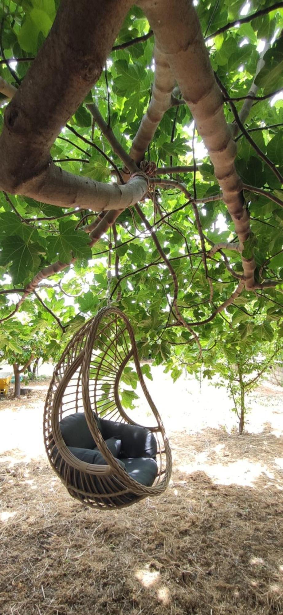 Garden House 2 * Amarynthos