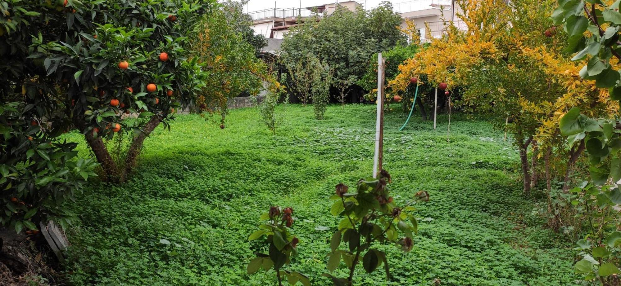 Garden House 2 * Amarynthos