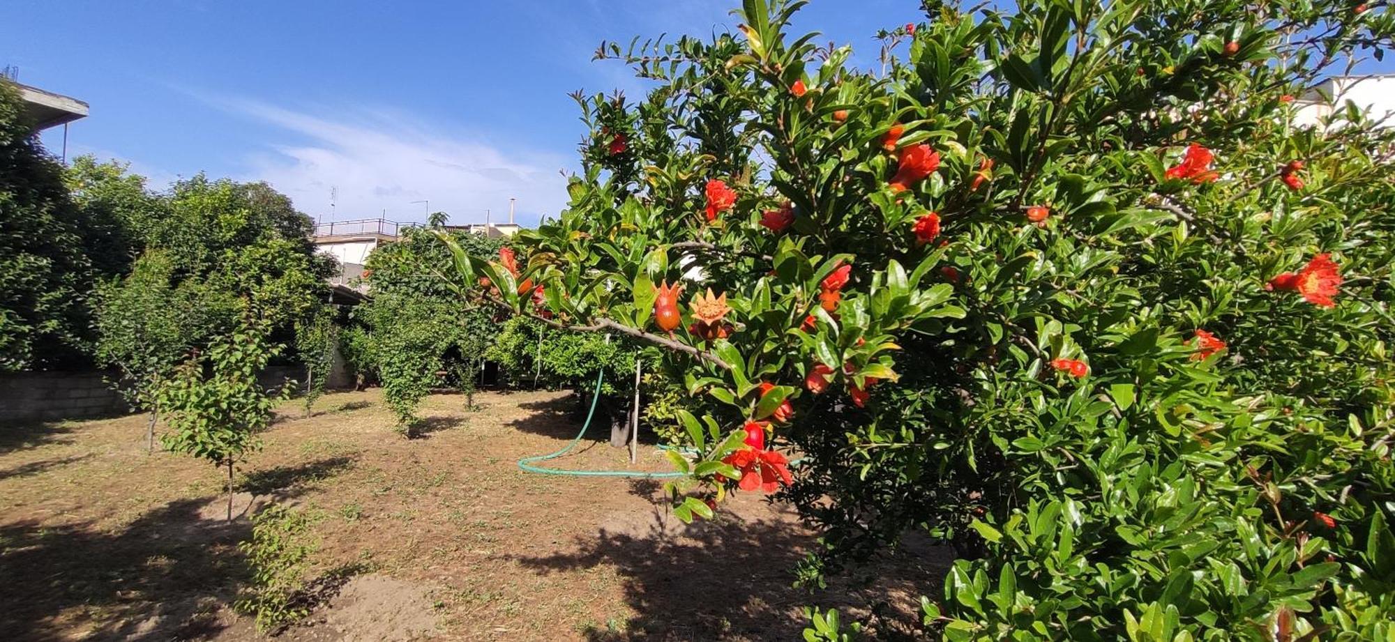 Apartament Garden House 2 Amarynthos