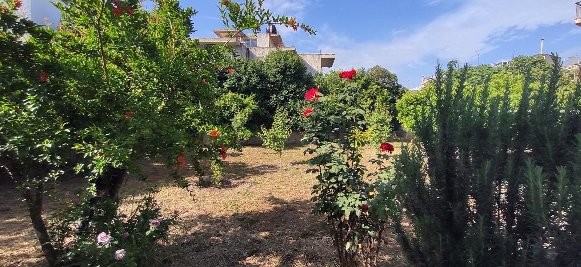 Garden House 2 Amarynthos