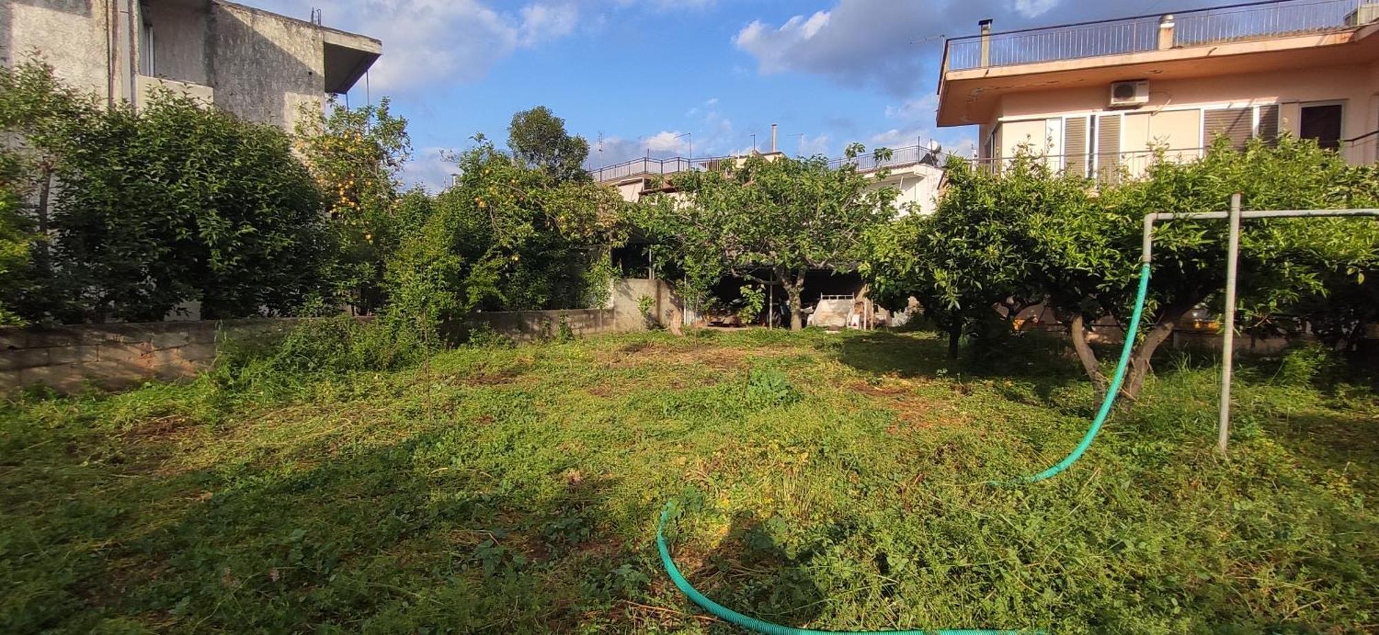 Apartment Garden House 2